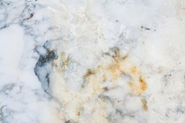 Venetian Plaster in Morningside