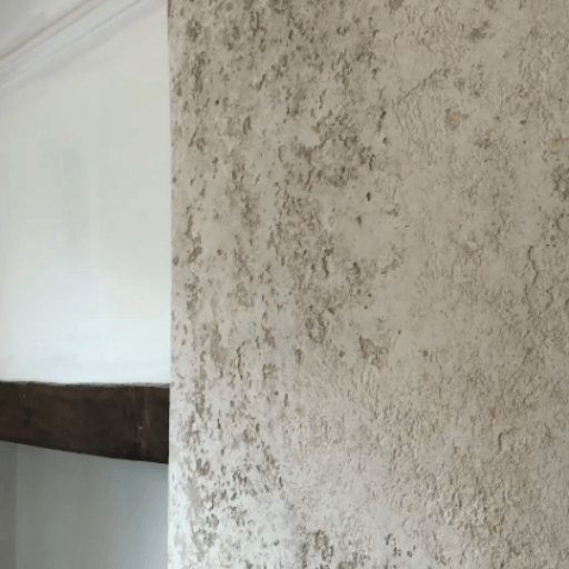 Venetian Wall Finish Specialists